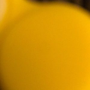 Meet your Posher, Travis